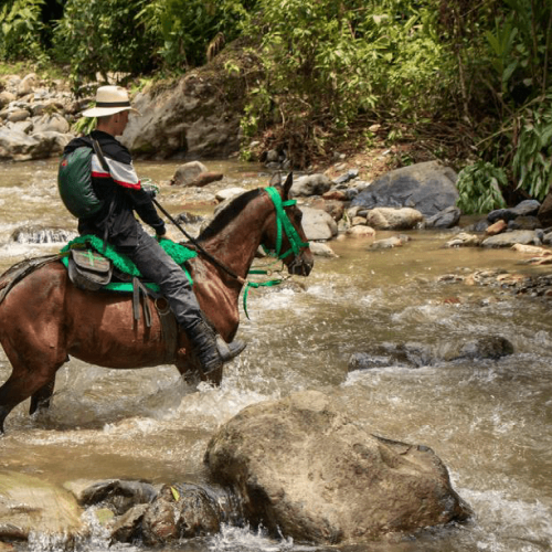 BOQUERÓN WASSERFALL
