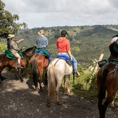 REITEN ZUM FLUSS