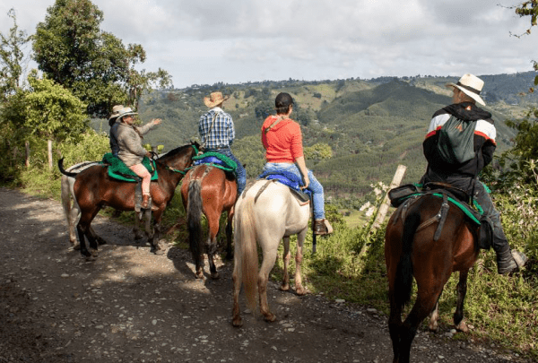 Coffee Farm and river 4