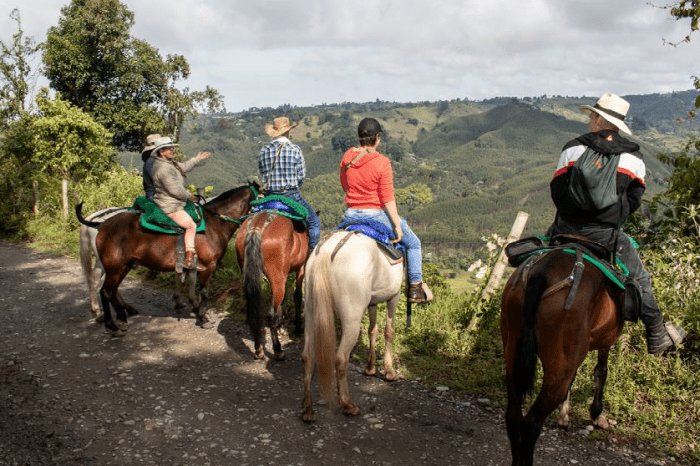 HORSEBACK RIDING TO THE RIVER