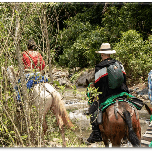 Natural Reserve and Navarco River Horseback Riding 3