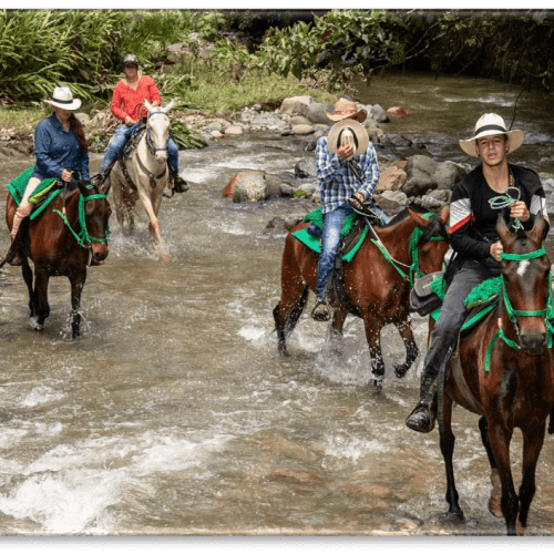 Natural Reserve and Navarco River Horseback Riding 4