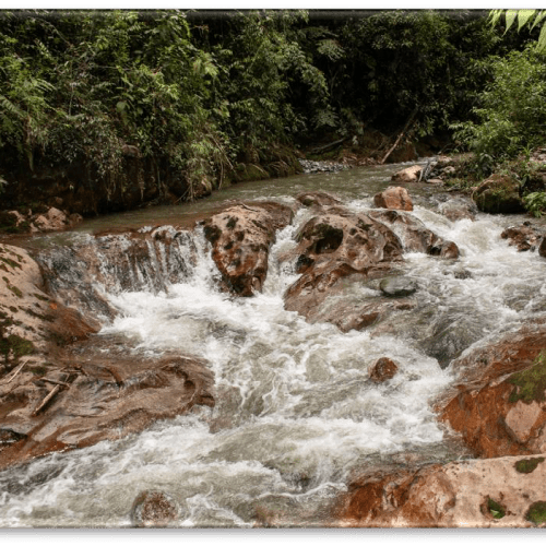 Waterfall and Coffee Farm 3