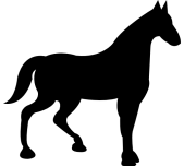 Horseback riding Acaime Salento