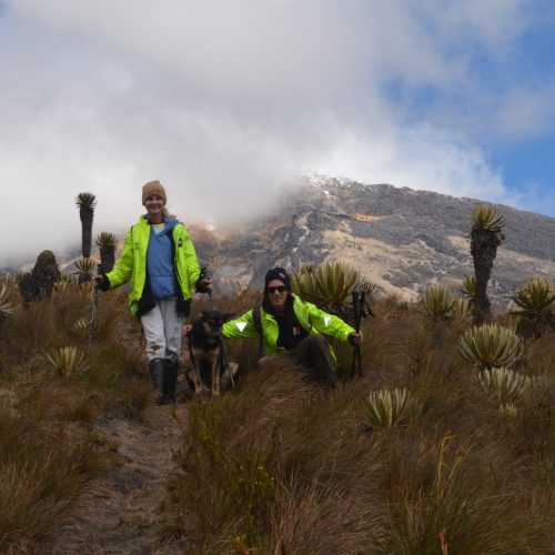 KANTE DES GLETSCHERS NEVADO DEL TOLIMA