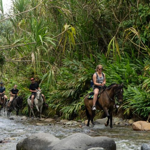 HORSEBACK RIDING ON THE MOUNTAIN AND RIVER