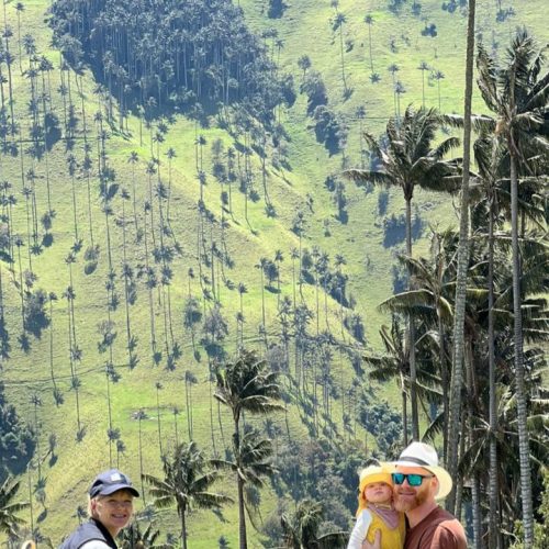 FORÊT DE PALMIERS À CIRE DANS UN ENDROIT MAGIQUE