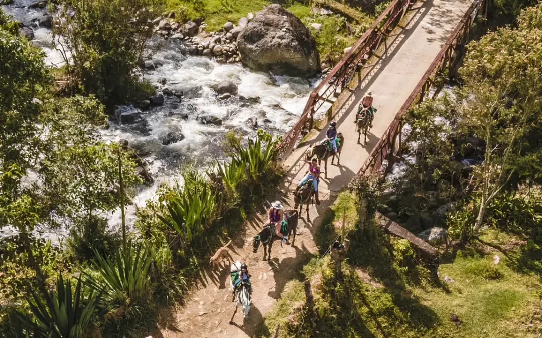 Horseback riding in Salento: experience the coffee culture on horseback