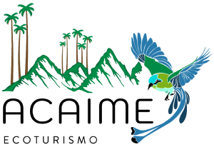 Kawa