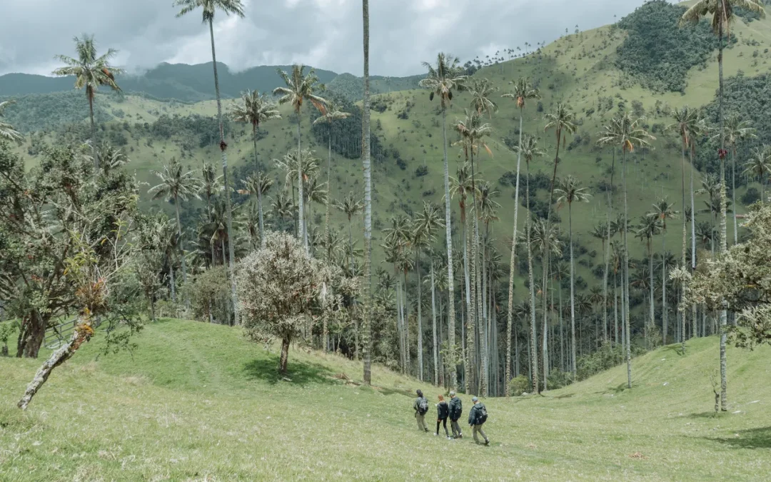 Tips for making the most of your visit to Salento